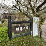【京都検定】京都随一の桜の名所・哲学の道にある鬼才・日本画家ゆかり『関雪桜』とは？