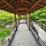 【京都名園】京都駅前に広大な敷地誇る穴場池泉回遊式庭園☆東本願寺の飛地境内「渉成園」