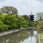 【京都新緑】一直線配列の巨大伽藍や五重塔は圧巻！京都が誇る世界遺産☆名宝展開催中「東寺」