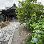 【京都季節の花】紫陽花や蓮も楽しめる寺町通の日本最古『都七福神めぐり』古刹「革堂行願寺」