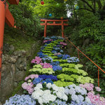 【京都あじさい】大人気の紫陽花の階段、花手水も美しい「柳谷観音 楊谷寺」【京都花めぐり】