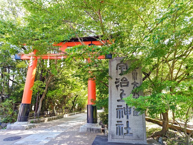 世界文化遺産 神聖なパワーを感じられる「宇治上神社」かわいいうさぎ