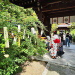 【京都秋の花】萩の見頃を告げる『萩まつり』揺れる俳句短冊や御朱印も☆萩名所「梨木神社」