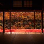 【京都紅葉】一度は見たい！美しい額縁紅葉と人気のお地蔵様に会える「圓光寺」