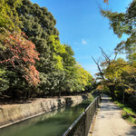 【2025京都紅葉最新】グラデーション進行中の名所！毘沙門堂～山科疏水～古墳・天智天皇陵
