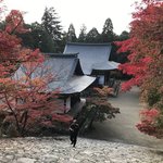 【京都紅葉】右京区のオススメ名所！嵐山渡月橋～仁和寺、高尾山神護寺、他【厳選7所】