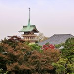 【特別公開】東山・大雲院「祇園閣」に潜入！「銅閣」とも呼ばれる名所