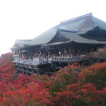 【京都紅葉】東山区のオススメ名所！清水寺ライトアップ～東福寺、智積院、他【厳選４所】