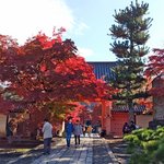 【京都2025紅葉】境内一杯に広がる紅葉の絶景「真如堂」