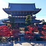 【京都2025紅葉】紅葉が見ごろの「くろ谷 金戒光明寺」特別日中拝観へ！