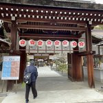 【京都初詣2026】約60種類有する京都屈指の桜名所☆早咲き『十月桜』開花中「平野神社」