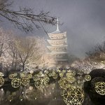 【初開催】嵐山で話題を席巻したイベントが東寺へ！雪降る夜の「東寺月回廊」