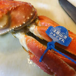 【京都】旬の味覚・絶品のタグ付きブランド松葉ガニは箱買いがお得！夕日ヶ浦「鮮魚ぎさ」