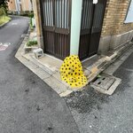 【京都ツウ】京都名物・通称『いけず石』の激レア版☆水玉柄アートな草間彌生風発見！？