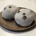 【京都和菓子】実は七条にも！出町ふたばの暖簾分け、名物豆餅が人気の老舗和菓子店