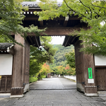 【2026京都紅葉最新】色づき始めの紅葉名所！疏水＆蹴上インクライン～南禅寺～永観堂、他