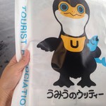 宇治 　「そうだ、宇治へ行こう！」鵜飼のシーズンが始まりました！