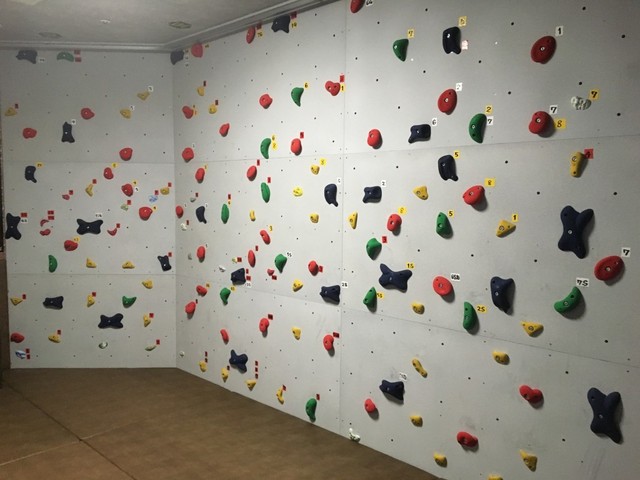 (15558)