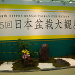岡崎　みやこめっせの日本盆栽大観展で、見事な盆栽に圧巻！【イベント】