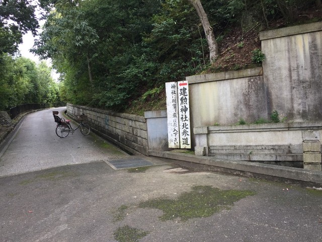 (19252)