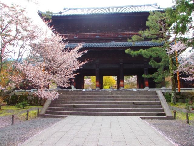 (19960)