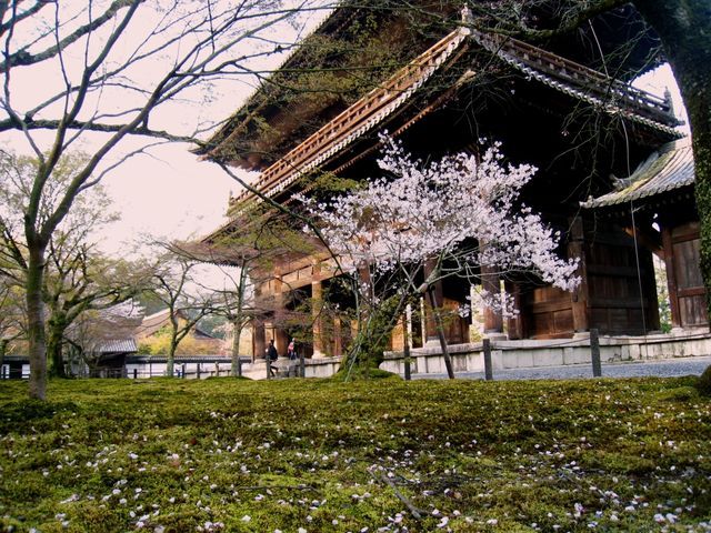 (19961)