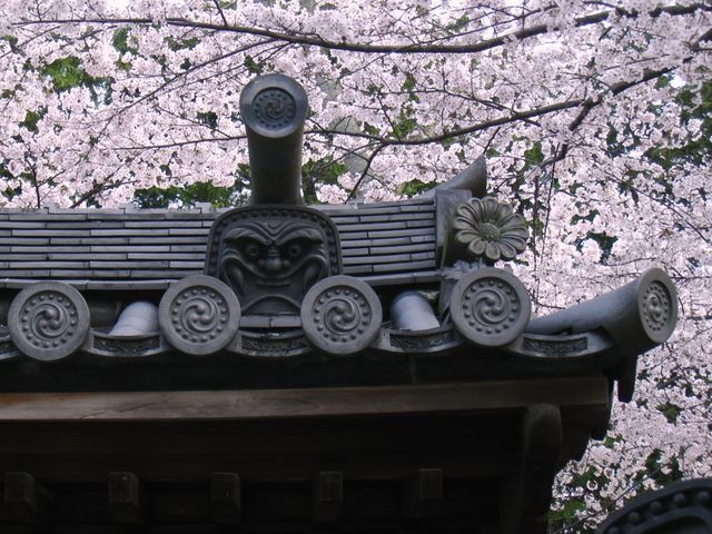 (19962)