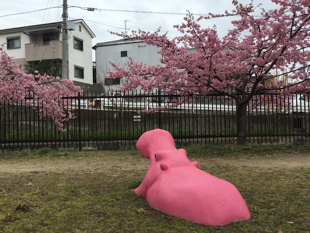 (21177)