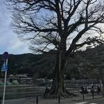 【京都嵐山】渡月橋からすぐ！自慢のお豆腐料理でほっこりと「良彌本店　奥の庭」