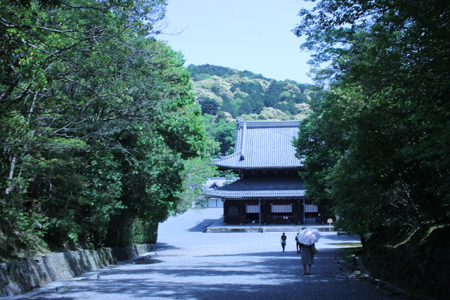 (32005)