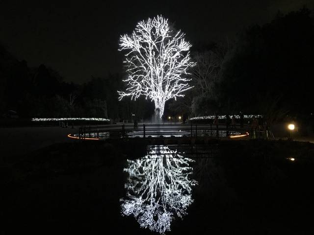 (66964)