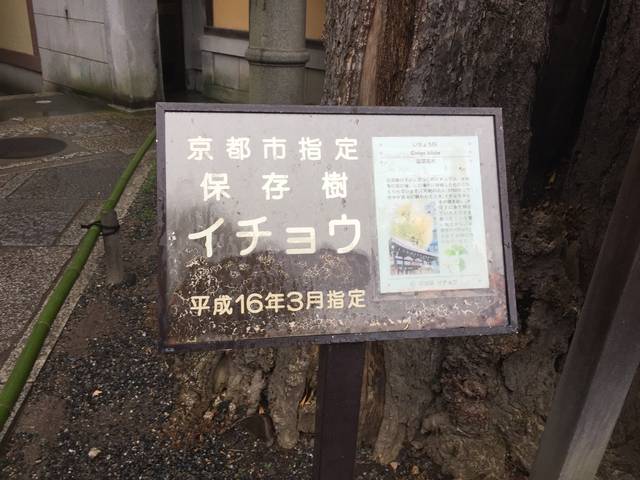 (68657)