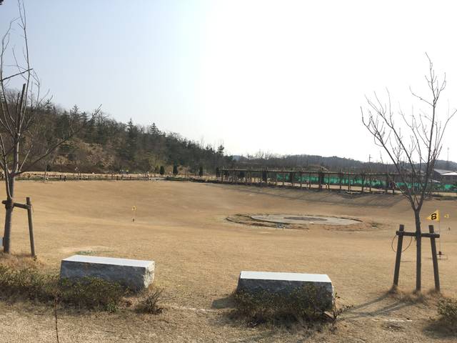 (75717)