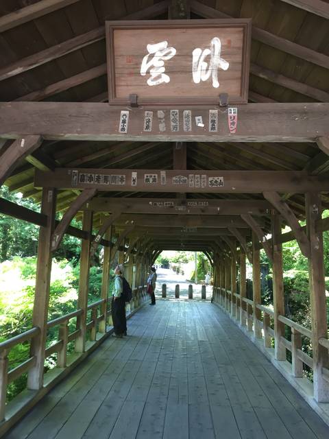 (80816)