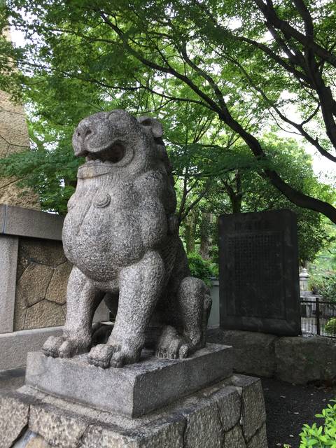 (91217)
