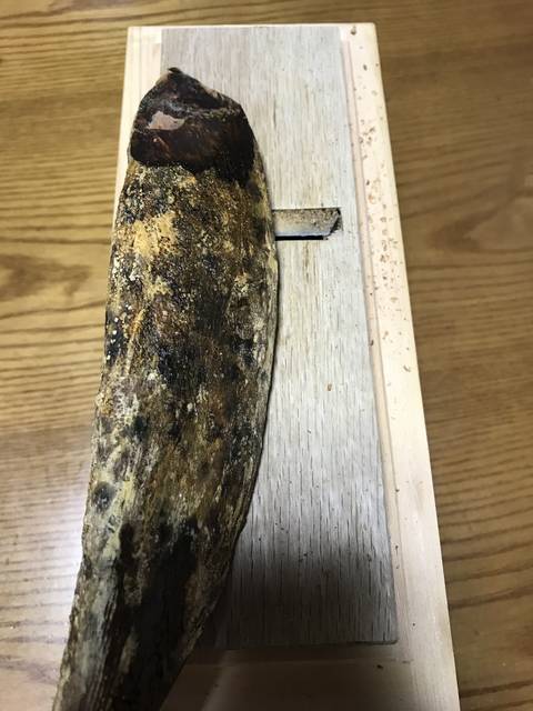 道具にこだわる！京の台所・錦市場の創業450年老舗の鰹節削り器「有次