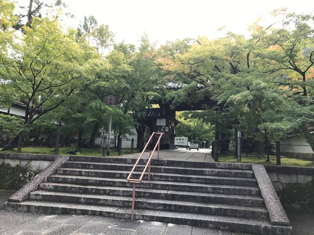 (133141)