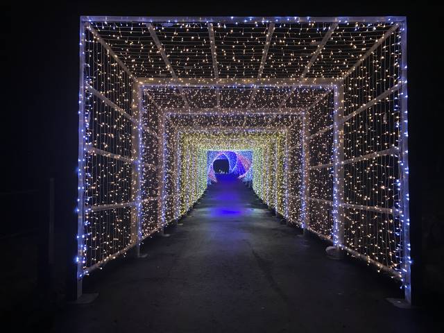 (134317)