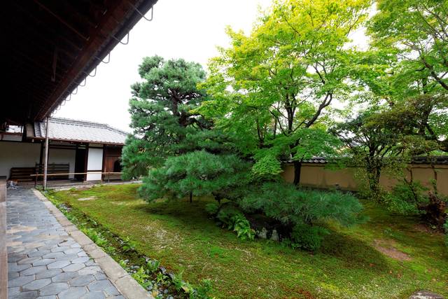 相国寺慈照院 客殿前庭