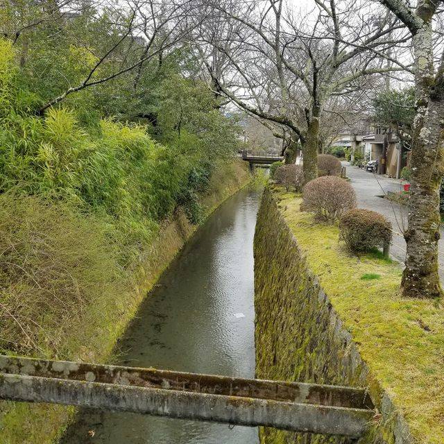 (147366)