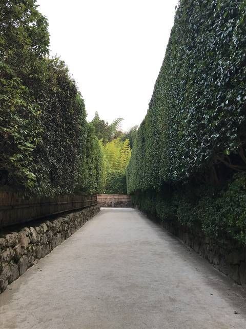 (151195)