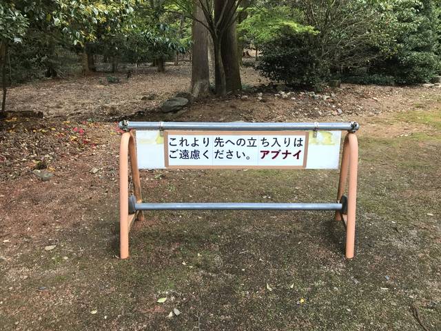 (151285)