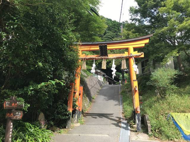 (153215)