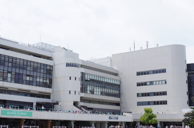 京都競馬場