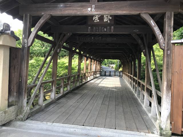 (156444)
