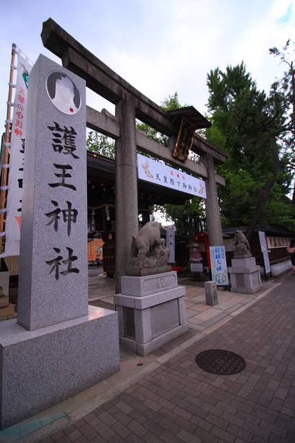 鳥居と狛いのしし