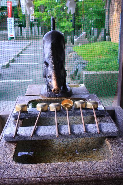 手水舎のいのしし