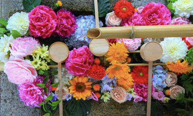 6月の花手水