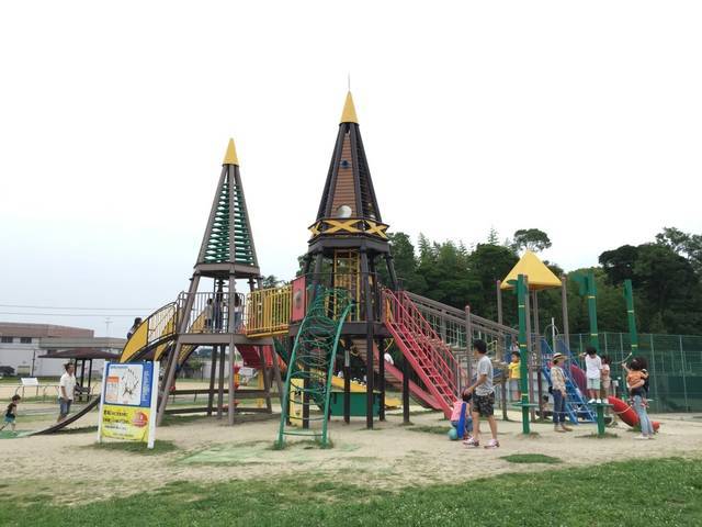 (165394)