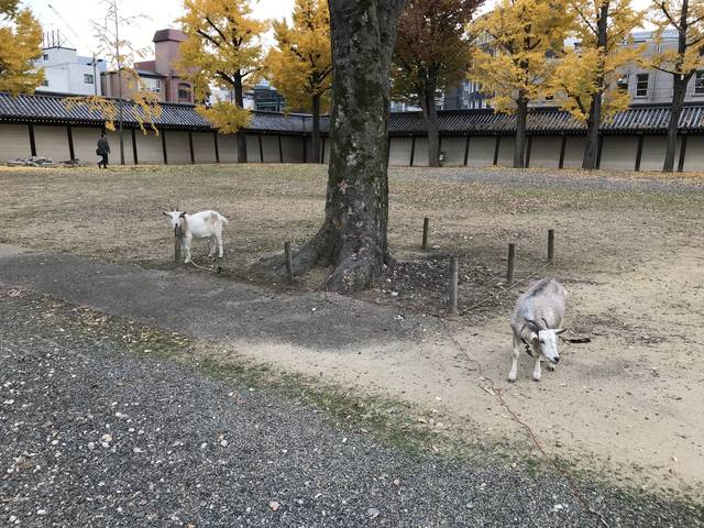 (171224)